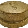 JMF Company 1 Fip Brass Cap Lead Free - 4506846 - Hardware -us-National Spencer -Sales 2022 15fe656d2ec070b46c3f427dabf960a2103c1af4 25210357 25210357 image 25210357